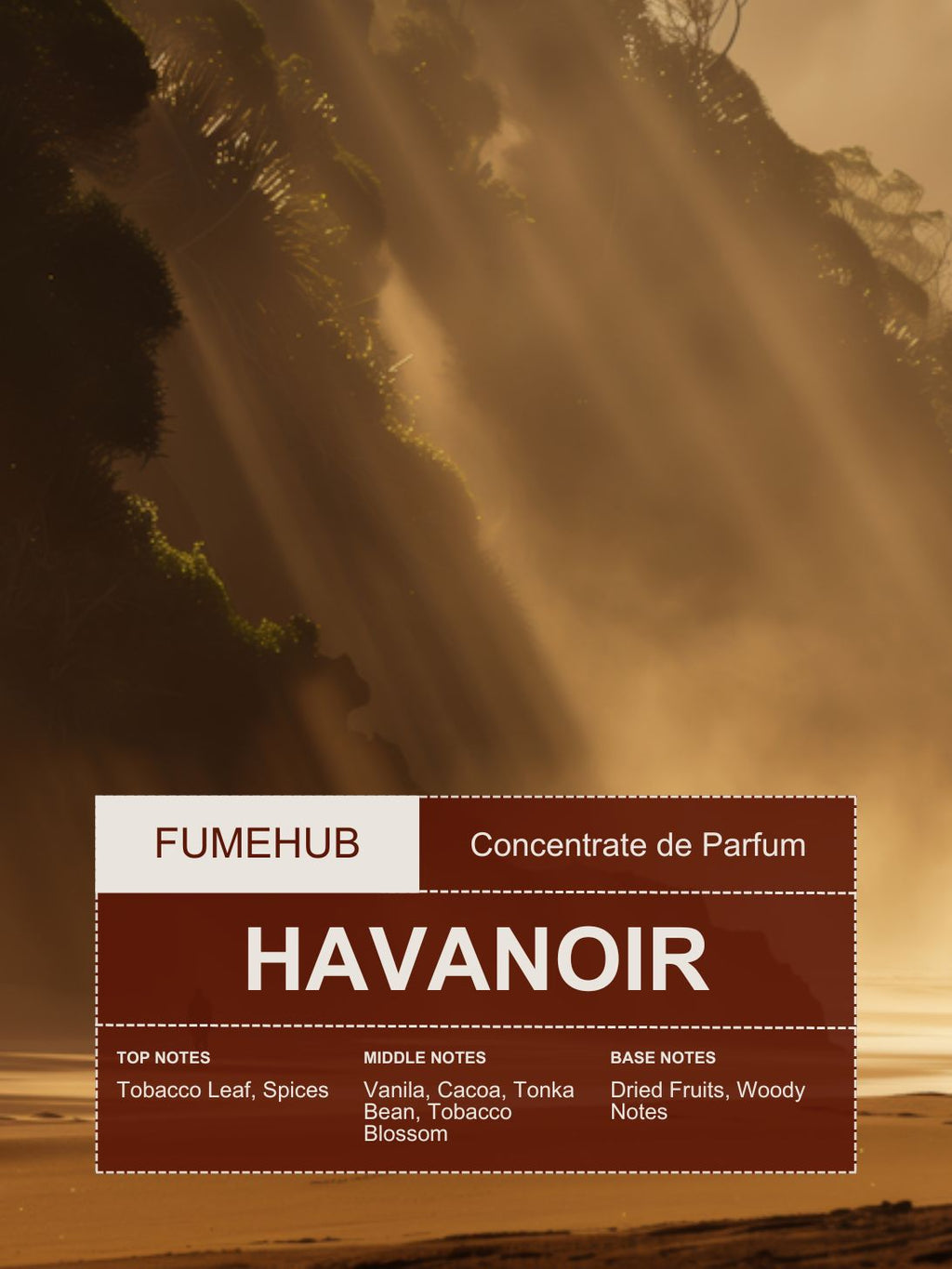 Havanoir (Inspired by Tom Ford Tobacco Vanille)