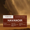 Havanoir (Inspired by Tom Ford Tobacco Vanille)